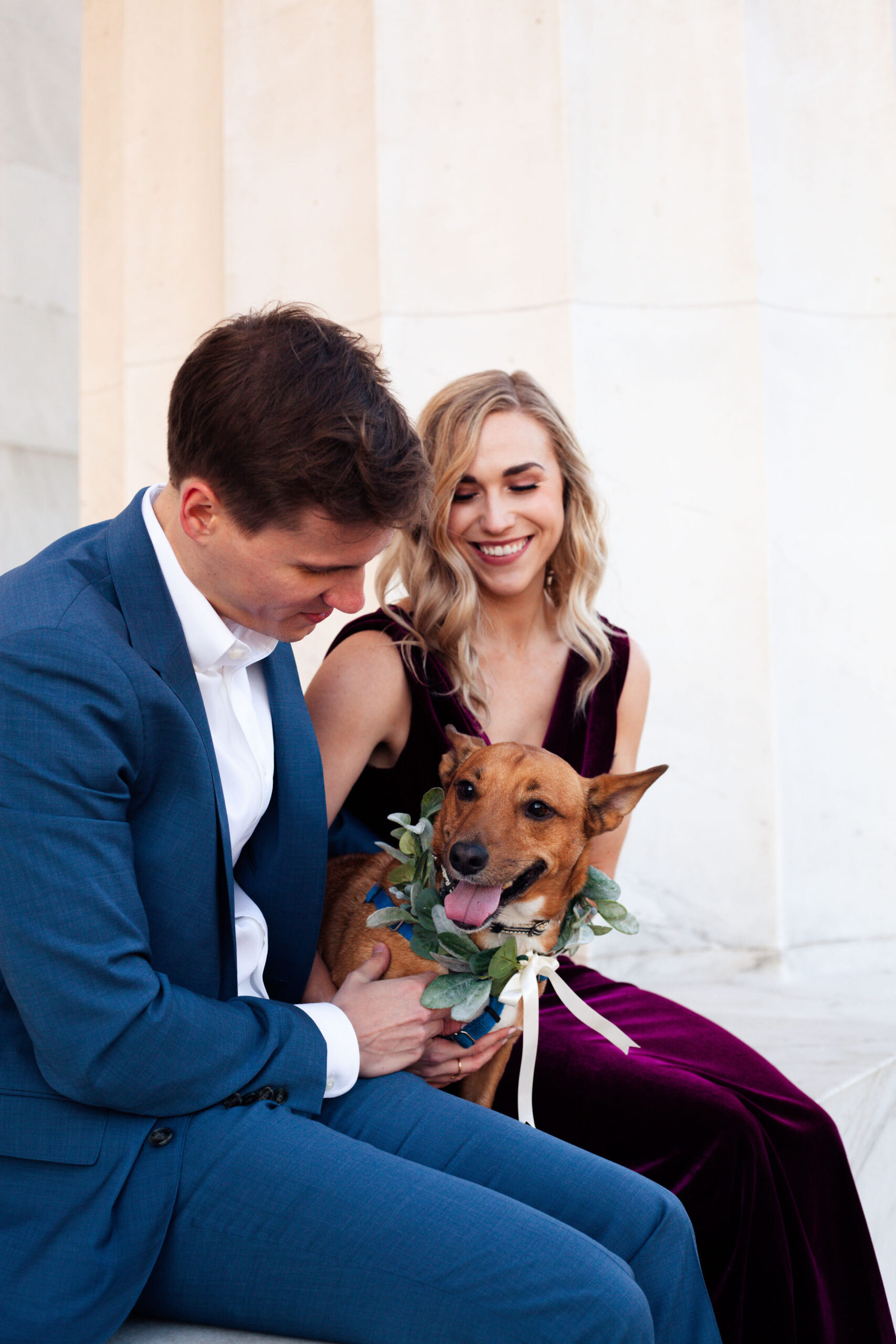 Dog engagement session dc